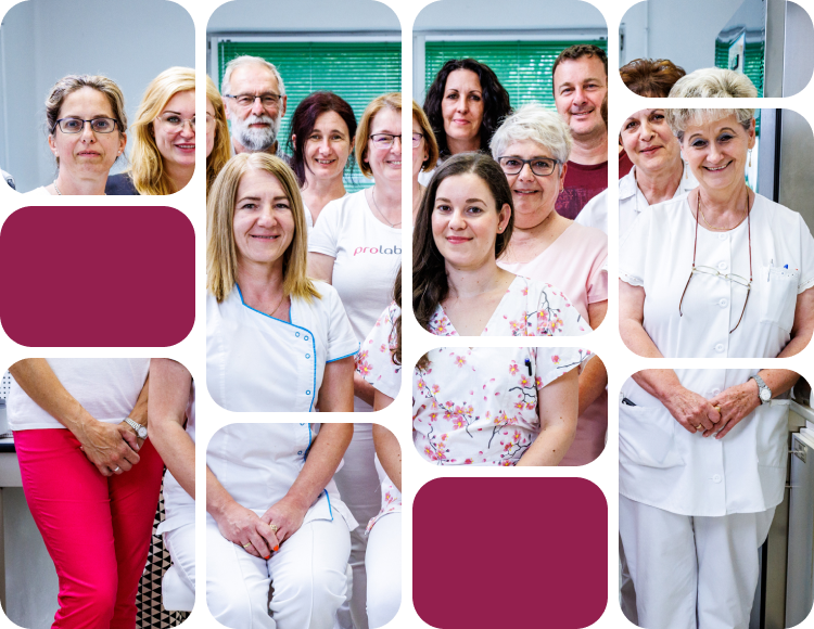 Prolabor főoldal header