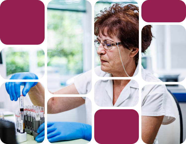 Prolabor főoldal header