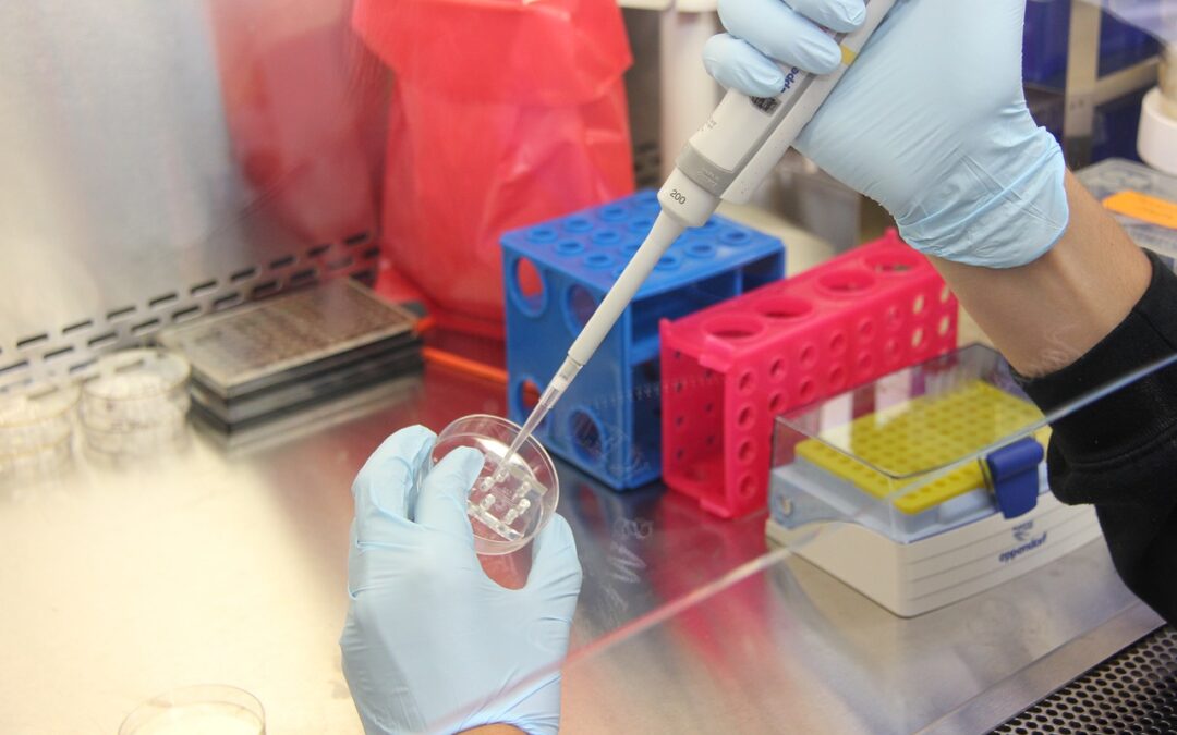 C-peptid vizsgálat